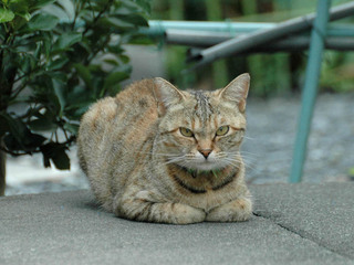 kijinya-050725.jpg