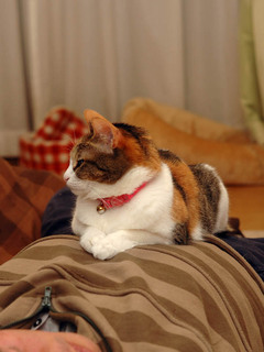 romi080428.jpg