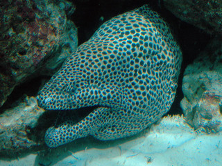 aquamarine-080723-2.jpg