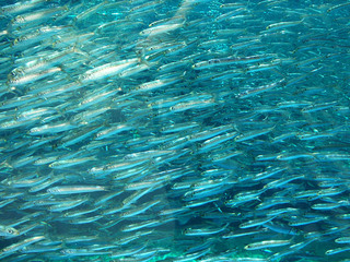 aquamarine-080723.jpg
