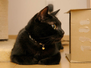rasha080821.jpg