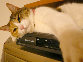 romi090222-2.jpg