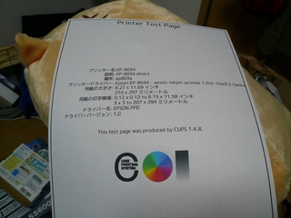 P1010598.JPG