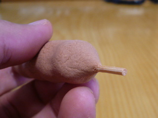 tsukune_zoom_170118.jpg