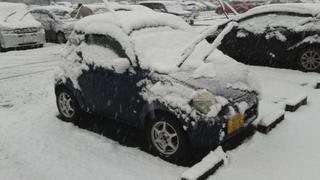 snow_180122.jpg